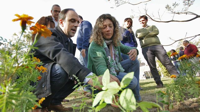 Programa de Reconstrucción: Árboles frutales perfuman el patio de Un Mundo Especial