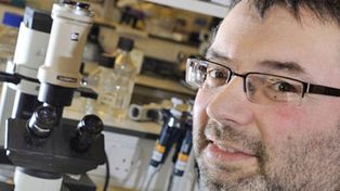 Científicos británicos aniquilan células tumorales con un virus