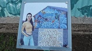 Expectativa de prisión perpetua para el femicida de Julieta Del Pino