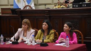 Rectores de universidades públicas y directivos de Conicet expusieron en la Legislatura