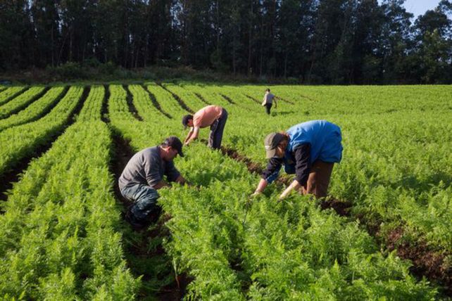 Campo pobre. El plan ayudaba a pequeñas unidades agroecológicas.