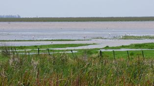 El comité se reúne por los Bajos Submeridionales que por su biodiversidad son un área prioritaria de conservación.