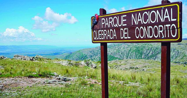 Cómo elegir el Parque Nacional ideal para visitar en vacaciones