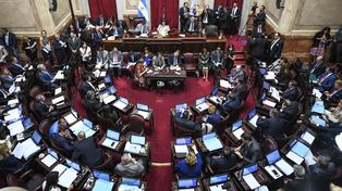 Ingresó al Senado el proyecto para limitar la suba de tarifas