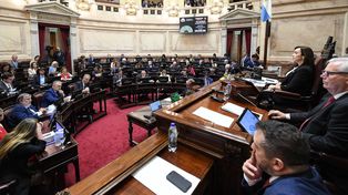 Luz verde al nuevo régimen penal juvenil: la edad de imputabilidad baja a 14 años