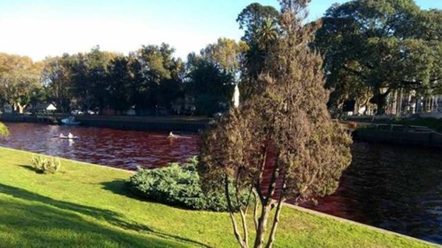 Río rojo. Investigan si el vertido proviene de una industria o un barco.