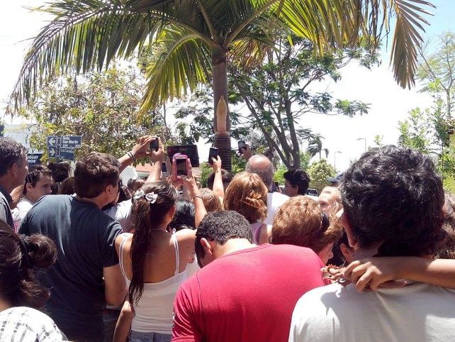 La gente se reúne alrededor de una palmera en la que ven la figura de la Virgen