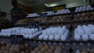 Los comercios exclusivos de huevos proliferaron en Rosario