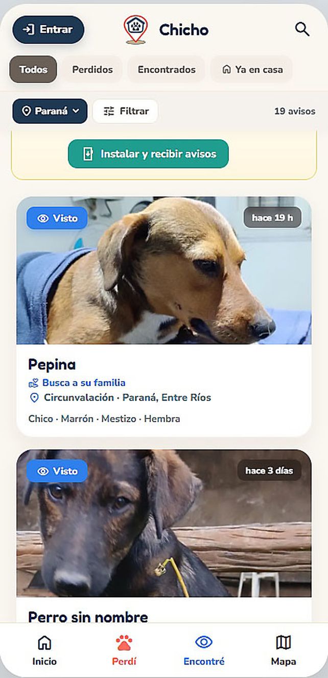 Tecnología al rescate: APP Chicho.ar ya logró que 20 mascotas regresen a sus hogares