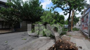 La tormenta de hoy provocó algunos destrozos y se esperan más lluvias