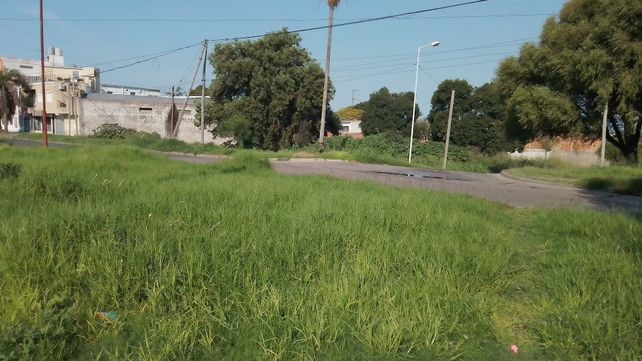 Plaza María del Carmen Caviglia de Boeykens con pastizales de más de 80 centímetros de alto y basura.