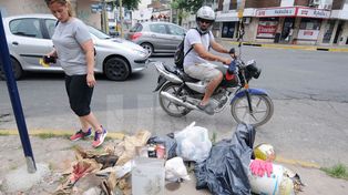 Denuncian el envenenamiento de 30 gatos en la Casa Cingolani de barrio Candioti