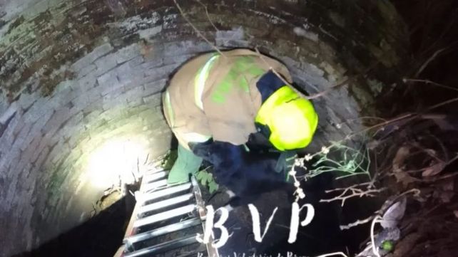Bomberos rescataron a un perro que cayó en un pozo negro en Paraná