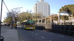 Cómo será el operativo de tránsito y los desvíos de colectivos