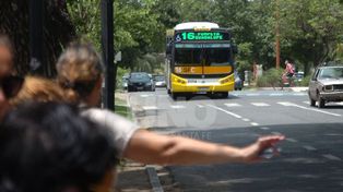 Empresarios: Así, el servicio no puede durar más de una semana