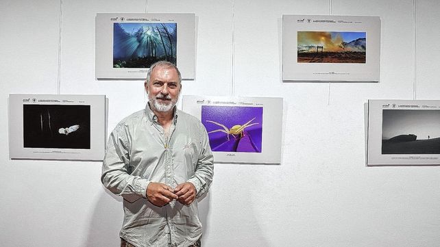 Distinción. Eduardo Di Fiore con su foto ganadora de la categoría Pequeños Mundos que retrata a una araña cangrejo sobre una flor.