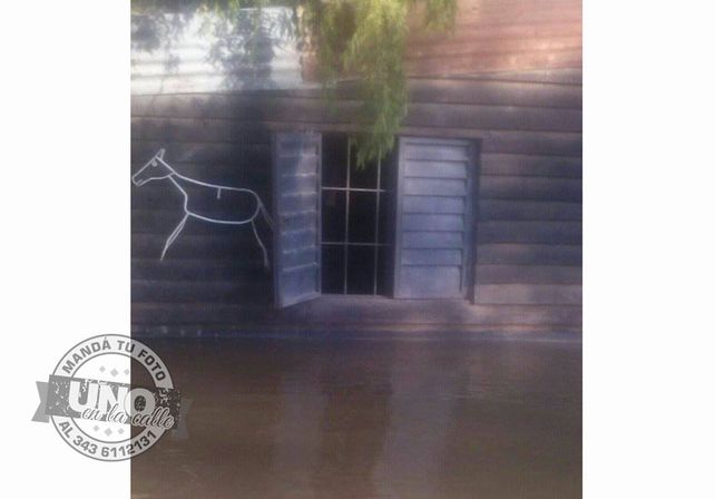 Familia autoevacuada de Paraje la Virgen necesita asistencia