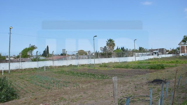 Huerta de la UP&nbsp;