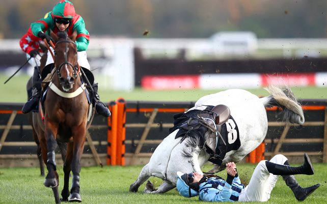 Caballo y jinete caen durante una competencia en Newbury