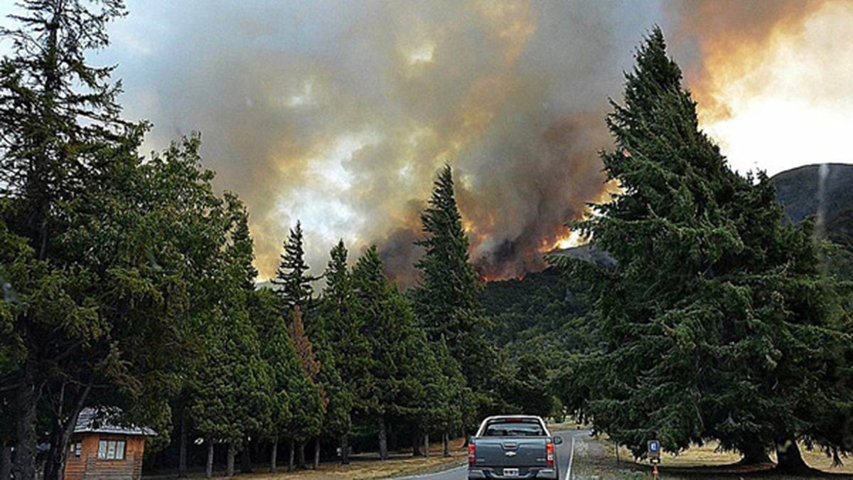 Los Incendios Se Devoran Cerca De 400 Mil Hectáreas Por Año En El País