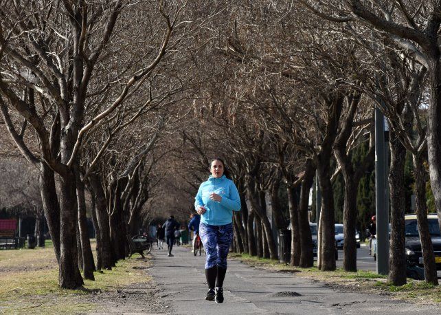 Este domingo se apresta para salir a pasear.