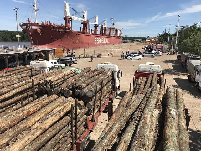 Llegan otros dos buques para cargar madera en el puerto de Concepción