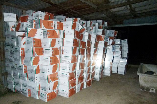 Frustan a piratas del asfalto y les incautan carga por 750 mil pesos