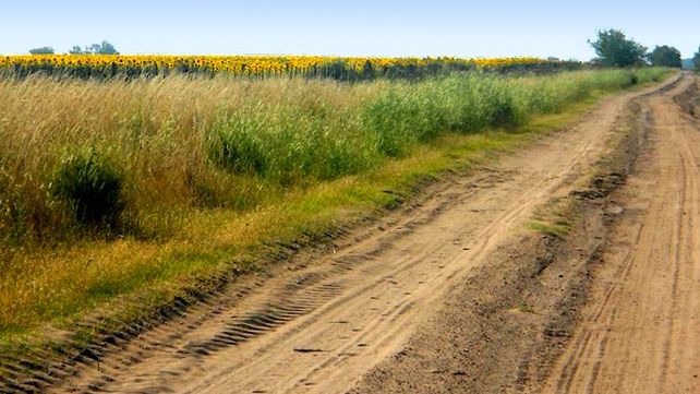 De reparto a actor principal: los bordes de lotes agrícolas se llevan el oro en biodiversidad