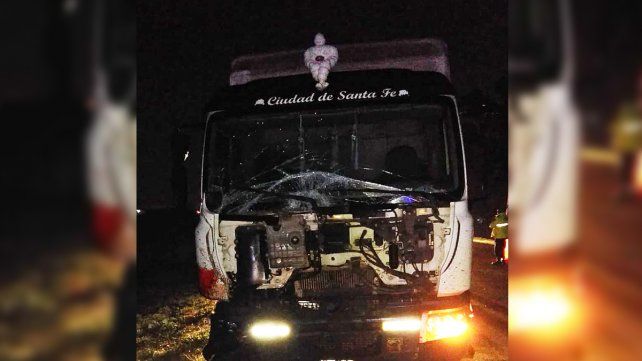 El animal quedó debajo del camión y un potrillo que acompañaba a su madre quedó galopando alrededor del rodado.