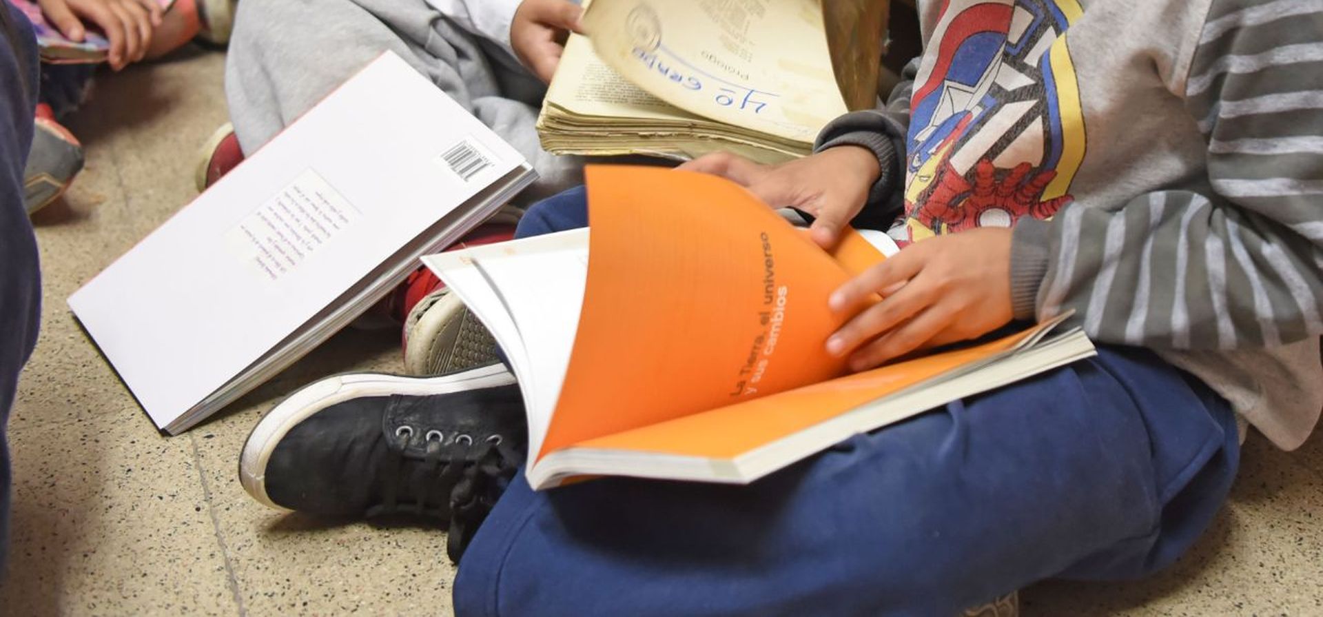 Alfabetización: advierten que 1 de cada 2 chicos de 3º grado no entiende lo que lee