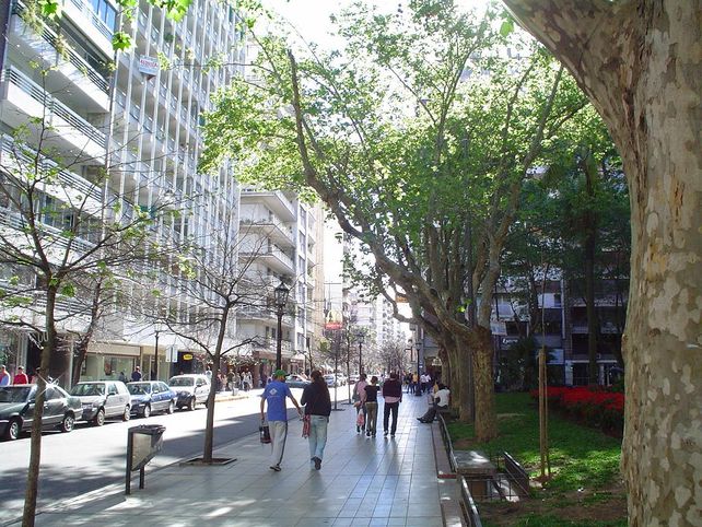 Le hicieron creer que habían secuestrado a su hija y dejar el rescate al lado de un árbol