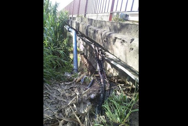 La línea eléctrica dañada.