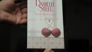 Este miércoles pedí un nuevo libro de la colección de Danielle Steel