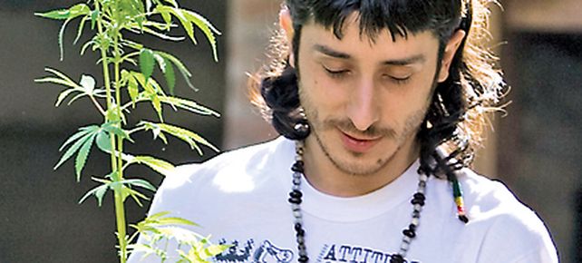 La Corte Suprema desincrimina el consumo personal de marihuana