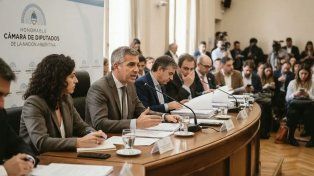 Discapacidad: Qué dice el proyecto que presentó el Gobierno