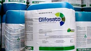 El municipio aclara que no puede prohibir la venta de glifosato