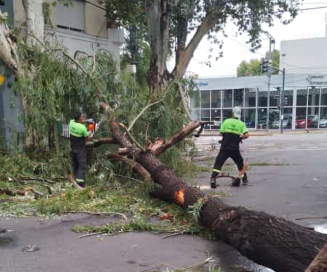 Cuadrillas de Defensa Civil y de la Central de Operaciones de Emergencia trabajaban este sábado en distintos puntos de la ciudad.&nbsp;