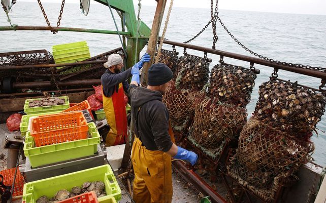 Pescadores franceses trabajan a bordo del arrastrero Le Chant des Sirenes (La canción de las sirenas) en los límites de las aguas franco-británicas, frente a Granville, Normandía, el mércoles 10 de noviembre de 2021. La disputa por las licencias de pesca en el Canal de la Mancha se ha convertido en un gran escollo en las relaciones entre la UE y Gran Bretaña después de que el Reino Unido abandonara el bloque a principios de este año. 