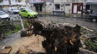 El temporal afectó a gran parte de la ciudad de Santa Fe