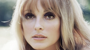 El crimen de Sharon Tate: la agitada vida de la actriz víctima del clan de Charles Manson