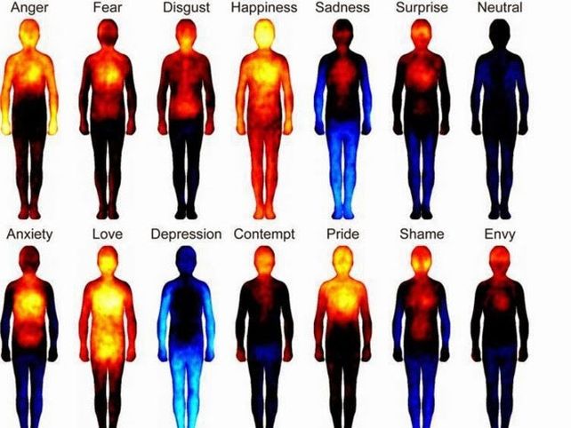 Así se distribuyen las emociones en el cuerpo humano