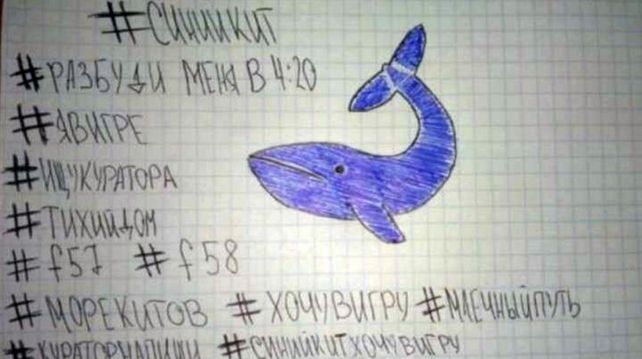Un niño sanjuanino es la primera víctima en el país de la Ballena Azul