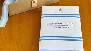 Oposición del sector ambientalista a las reformas de la Ley Ómnibus