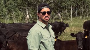 ¿Qué hay detrás del robo de vacas al influencer La Joya Agro?