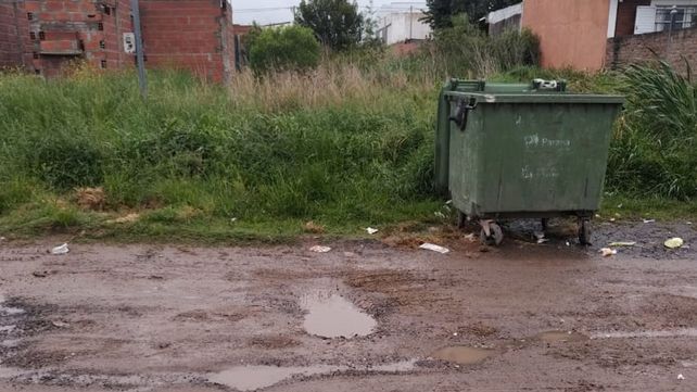 Piden fumigaciones en barrio Los Paraísos
