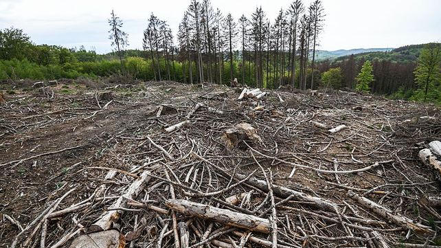 Un juicio con 32 estados de Europa arrancará el 27 en Estrasburgo