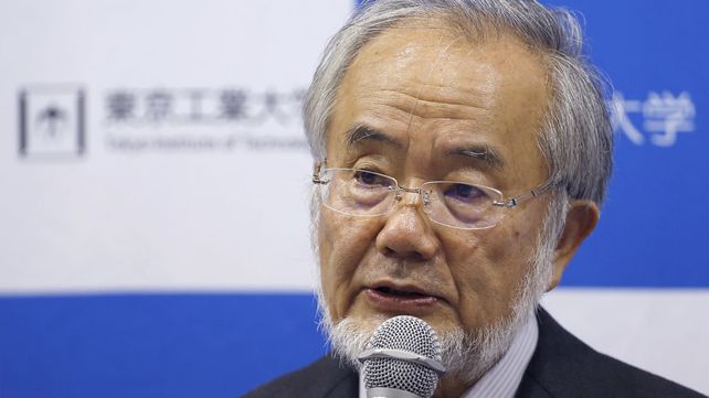 Un japonés obtuvo el Premio Nobel de Medicina 2016
