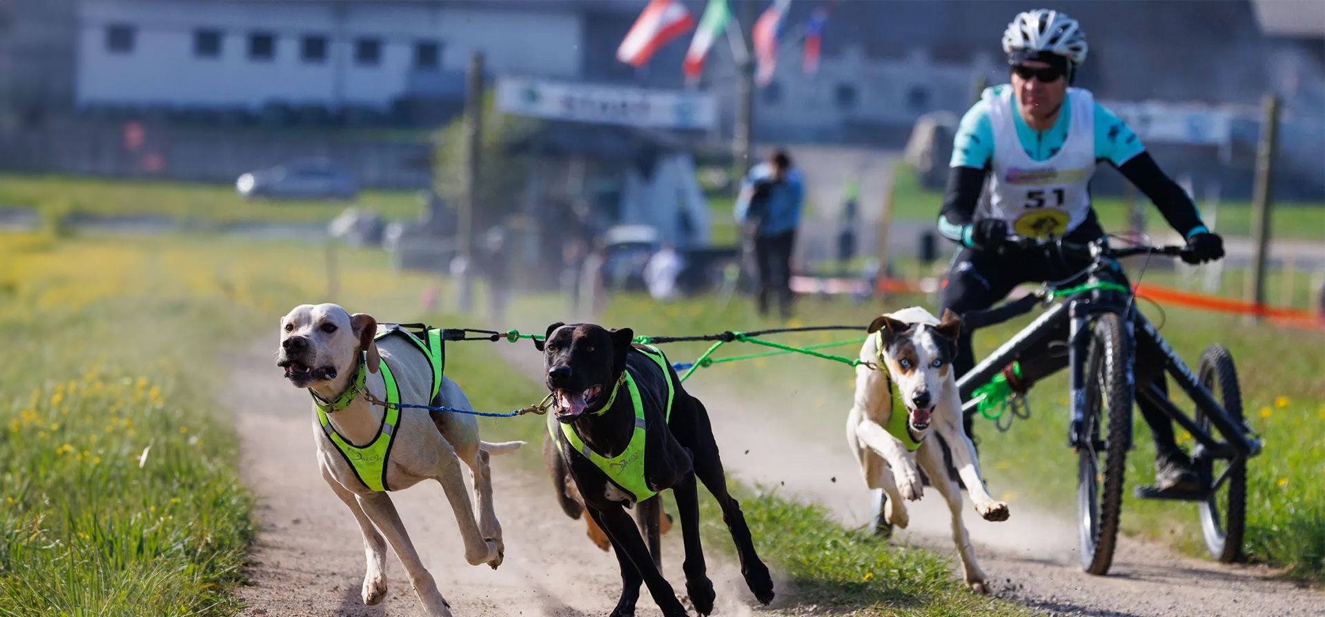 Más de 100 perros y sus dueños de Eslovenia y del extranjero compitieron en la 10ª edición de esta carrera internacional, de perros Henrik Senik. Fotografía: Luka Dakskobler/SOPA Images/REX/Shutterstock Más de 100 perros y sus dueños de Eslovenia y del extranjero compitieron en la 10ª edición de esta carrera internacional, de perros Henrik Senik. Fotografía: Luka Dakskobler/SOPA Images/REX/Shutterstock