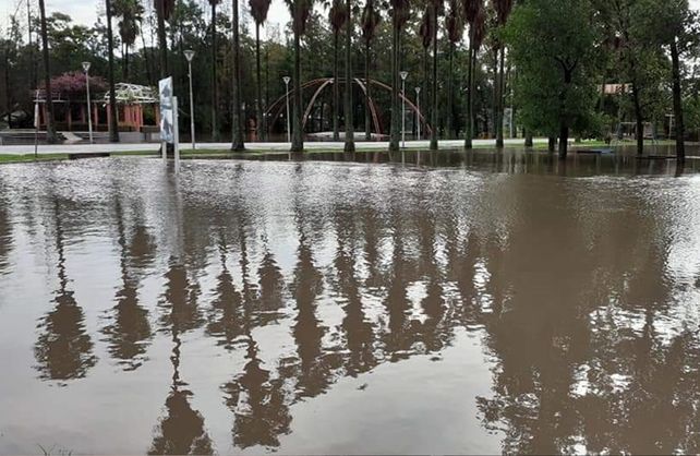 Alejandra. Gentielza Radio Amanecer