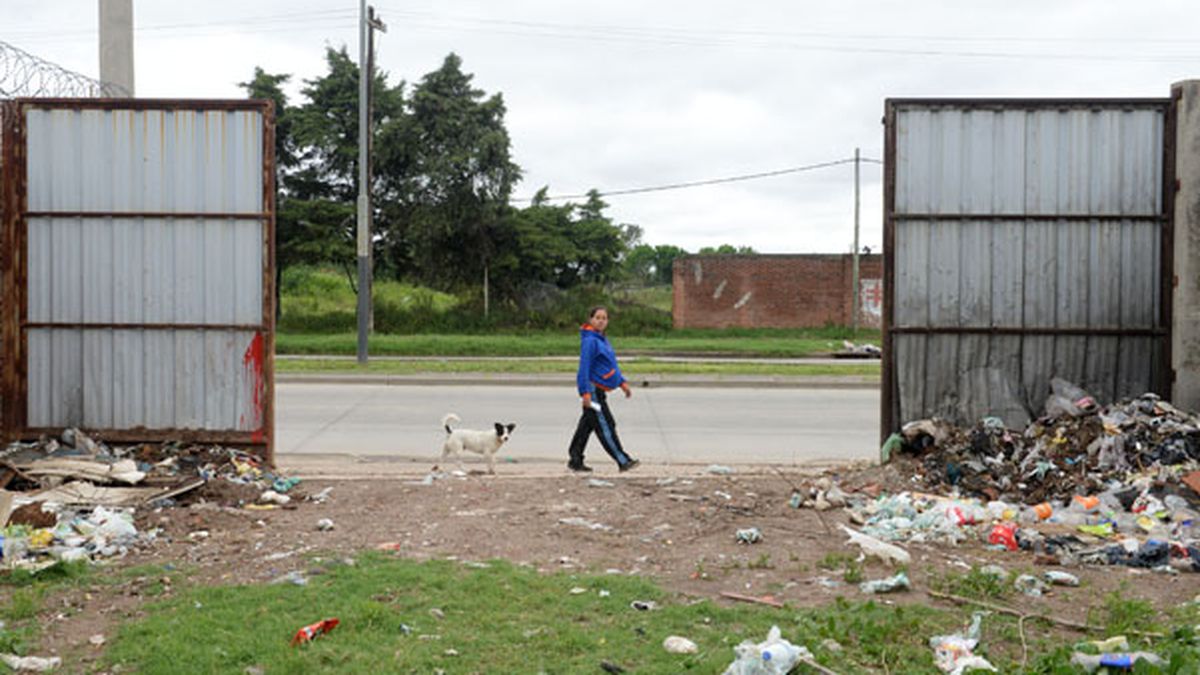 Vecinos en alerta por la presencia de roedores